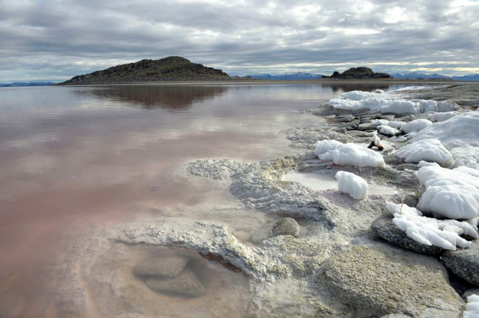 Al Hartmann  |  The Salt Lake Tribune
Salt formations line the shore of Gunnison Island surrounded by the super salty pink lemonade-colored water of the Great Salt Lake.  Utah Division of Wildlife Rescources, University of Utah and Westminster College scientists visited the Island in the northwest corner of the Great Salt Lake Wednesday March 10.  The group did field research and installed cameras to understand how dropping lake levels affect the pelican population.