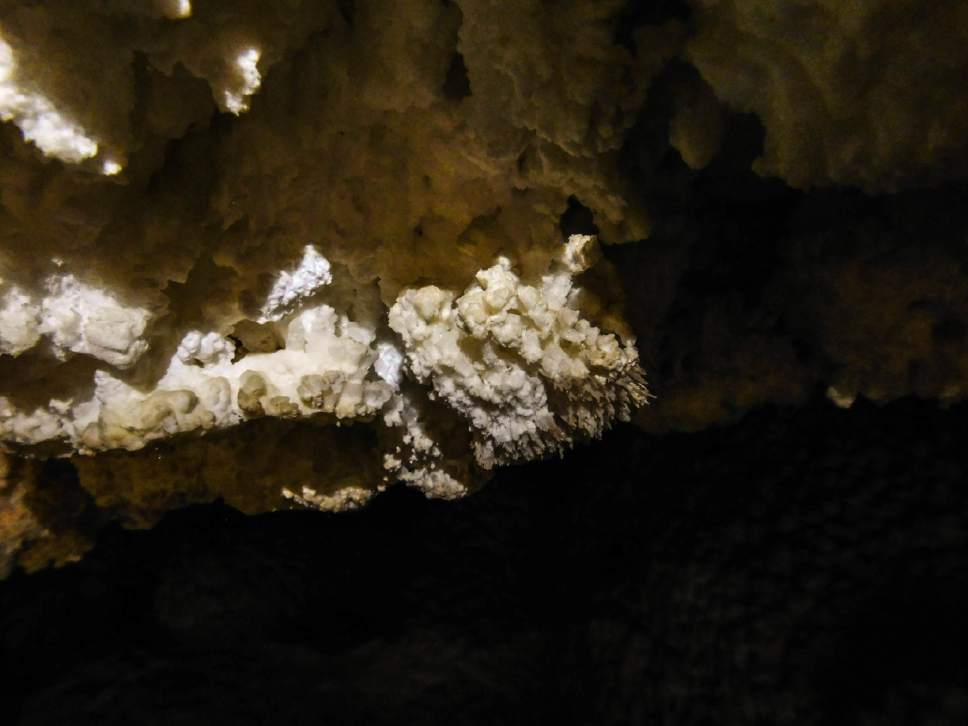 Erin Alberty  |  The Salt Lake Tribune

Delicate nodules form on a mineral formation called "cave popcorn" in Crystal Ball Cave in Gandy, Utah.