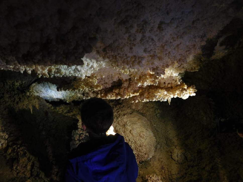 Erin Alberty  |  The Salt Lake Tribune

A young visitor examines "cave popcorn" on the ceiling of Crystal Ball Cave on Feb. 20, 2017 in Gandy, Utah.