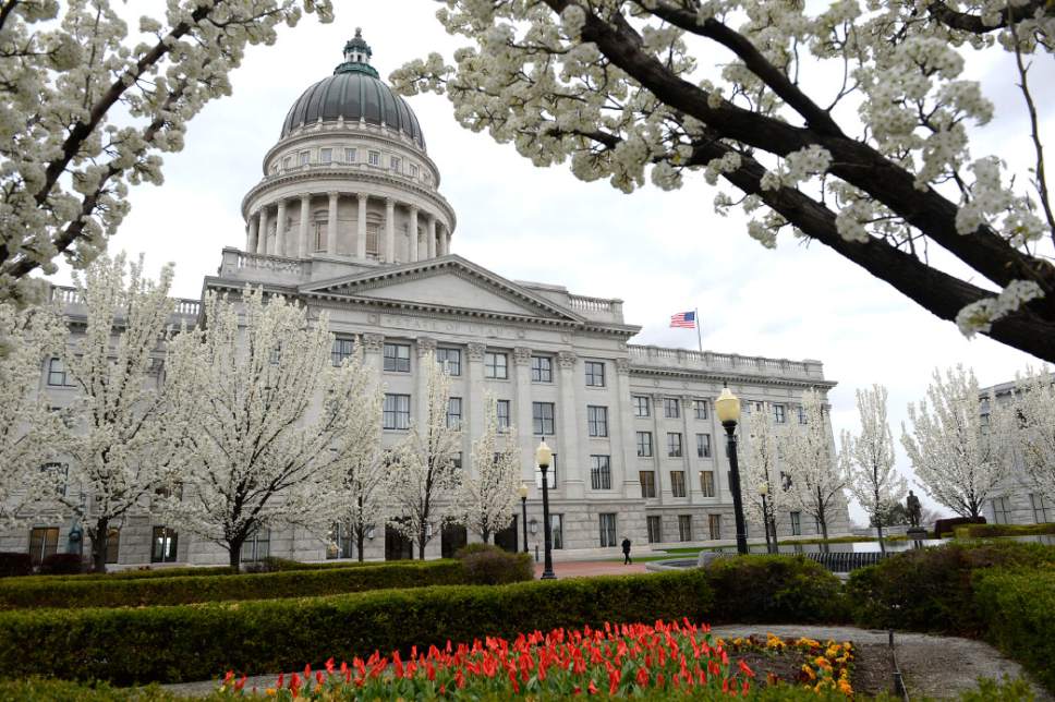 Al Hartmann  |  The Salt Lake Tribune
Utah State Capitol is framed by blossoming trees and emerging tulips Thursday March 30 thanks to the plentiful rain from March's numerous storms.