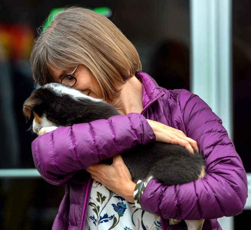 Steve Griffin  |  The Salt Lake Tribune


Brandi Williams smiles as she snuggles with a puppy as Nuzzles & Co., a Park City non-profit that promotes awareness for pet adoption, teamed with Even Stevens sandwich shop during the Love Utah Give Utah fundraiser in Salt Lake City Thursday March 30, 2017. Nuzzles and Co.turned the entrance of Even Stevens into a puppy and kitten snuggle lounge. Williams said there is a chance she will adopt the puppy.