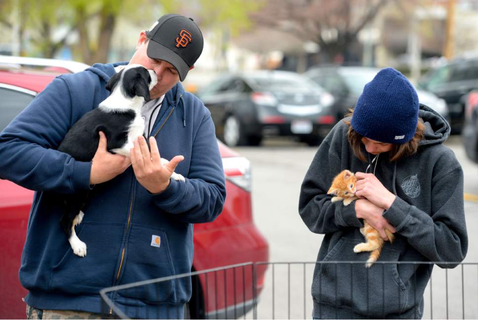 Steve Griffin  |  The Salt Lake Tribune


Brandon Kinney holds a puppy as his son Ethan holds a kitten as Nuzzles & Co., a Park City non-profit that promotes awareness for pet adoption, teamed with Even Stevens sandwich shop during the Love Utah Give Utah fundraiser in Salt Lake City Thursday March 30, 2017. Nuzzles and Co.turned the entrance of Even Stevens into a puppy and kitten snuggle lounge.
