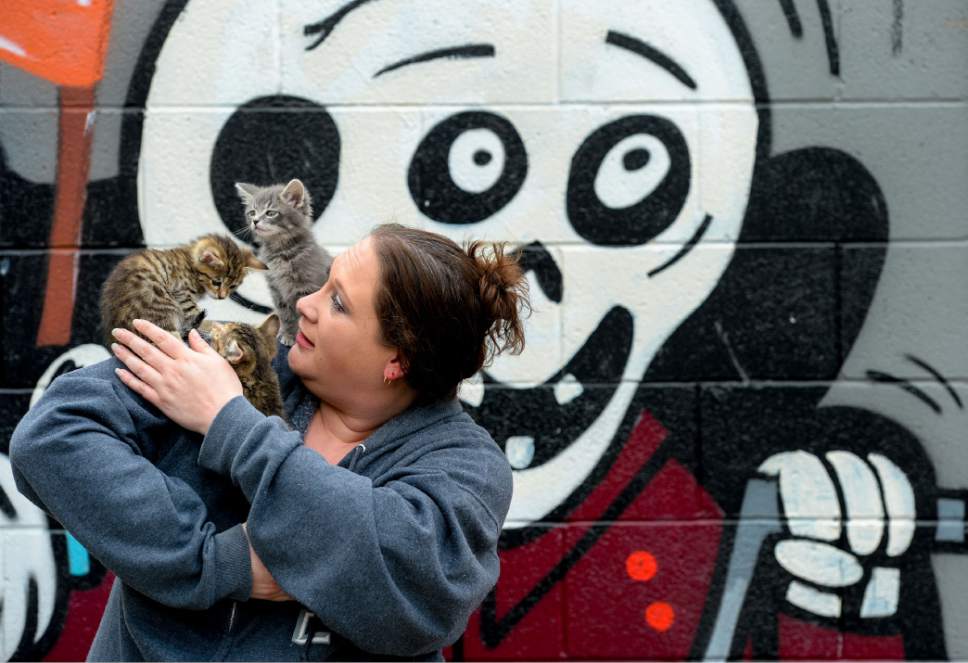 Steve Griffin  |  The Salt Lake Tribune


Laura Jones holds kittens from a litter she is fostering for Nuzzles & Co., a Park City non-profit that promotes awareness for pet adoption, teams with Even Stevens sandwich shop during the Love Utah Give Utah fundraiser  in Salt Lake City Thursday March 30, 2017. Nuzzles and Co.turned the entrance of Even Stevens into a puppy and kitten snuggle lounge.