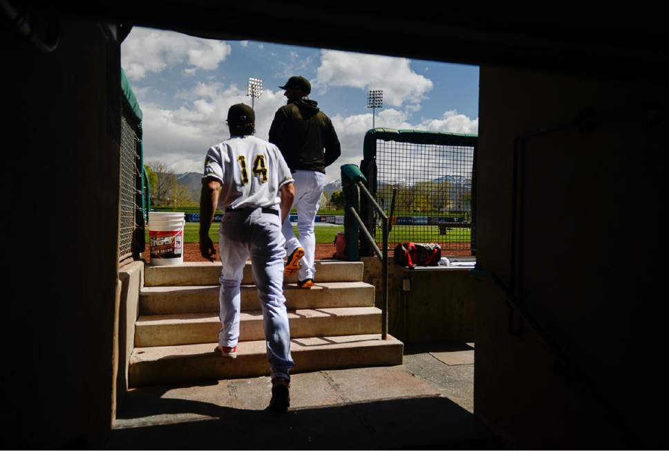 Francisco Kjolseth | The Salt Lake Tribune
Salt Lake Bees' annual media day, a prelude to the start of the season, kicks off at Smith's Ballpark on Tuesday, April 4, 2017, as players take to the field for introductions.