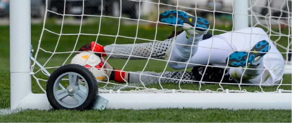 Steve Griffin  |  The Salt Lake Tribune


After stretch catching a shot at the crossbar Alta goal keeper Bowen Hayes falls to the ground and barely keeps the ball from crossing the line during game against  Skyridge at Skyridge High School in Lehi Friday March 31, 2017.