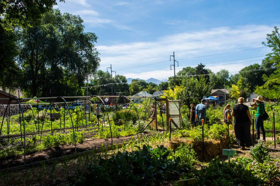 Chris Detrick  |  The Salt Lake Tribune
Wasatch Community Gardens has acquired a special property easement for its Grateful Tomato Garden on 800 South and 600 East in Salt Lake City, which will permanently protect the land for agricultural use.