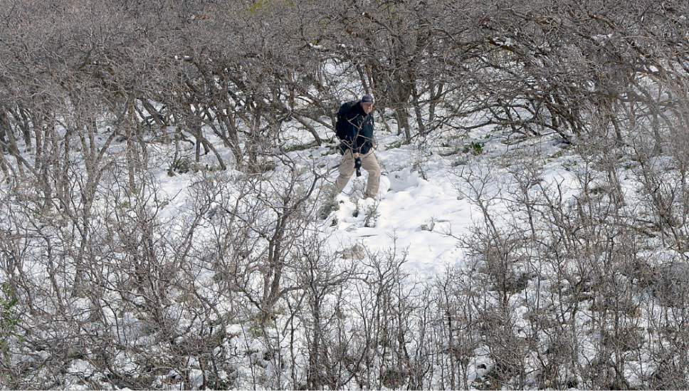 Al Hartmann  |  The Salt Lake Tribune
Unified Police cannyon patrol officer walks through scrub oak and snow in Ferguson Canyon on Monday in the resumed search for a Saratoga Springs man Benjamin Kritzer, 28 who has been missing since Thursday on a solo hike in the mountains above Cottonwood Heights.