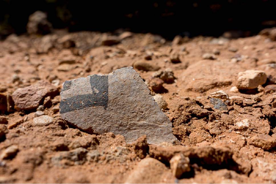 Trent Nelson  |  The Salt Lake Tribune
A pottery shard on a trail in Recapture Canyon, Thursday September 8, 2016. The Bureau of Land Management is finally releasing an environmental review of San Juan County's application for a right-of-way through Recapture Canyon, inhabited by Anasazi more than 800 years ago. The BLM had closed the canyon, east of Blanding, to motorized use in 2007 after discovering an illegally constructed trail had damaged some of its archaeological sites.