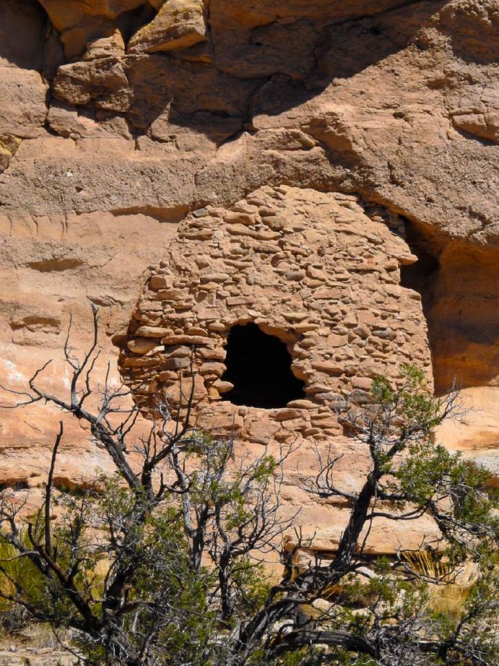 Trent Nelson  |  The Salt Lake Tribune
A cliff dwelling in Recapture Canyon, Thursday September 8, 2016. The Bureau of Land Management is finally releasing an environmental review of San Juan County's application for a right-of-way through Recapture Canyon, inhabited by Anasazi more than 800 years ago. The BLM had closed the canyon, east of Blanding, to motorized use in 2007 after discovering an illegally constructed trail had damaged some of its archaeological sites.