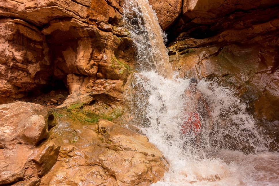 Trent Nelson  |  The Salt Lake Tribune
Naui Zambrano cools off in a waterfall on the Sulphur Creek trail, a 5-mile slot canyon hike in Capitol Reef National Park, Saturday August 1, 2015.