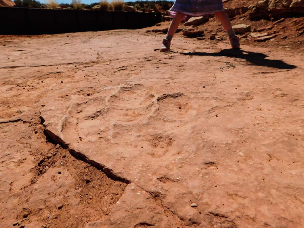 Erin Alberty  |  The Salt Lake Tribune

Tracks believed to belong to dilophosaurus and megapnosaurus are imprinted in the rock at the Warner Valley dinosaur tracks viewing site south of Hurricane.