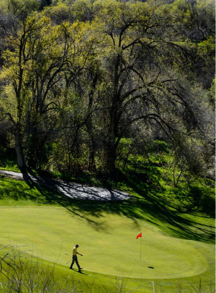 Steve Griffin  |  The Salt Lake Tribune


The morning sun lights up the spring colors on tress at Bonneville Golf Course in Salt Lake City Thursday April 13, 2017.