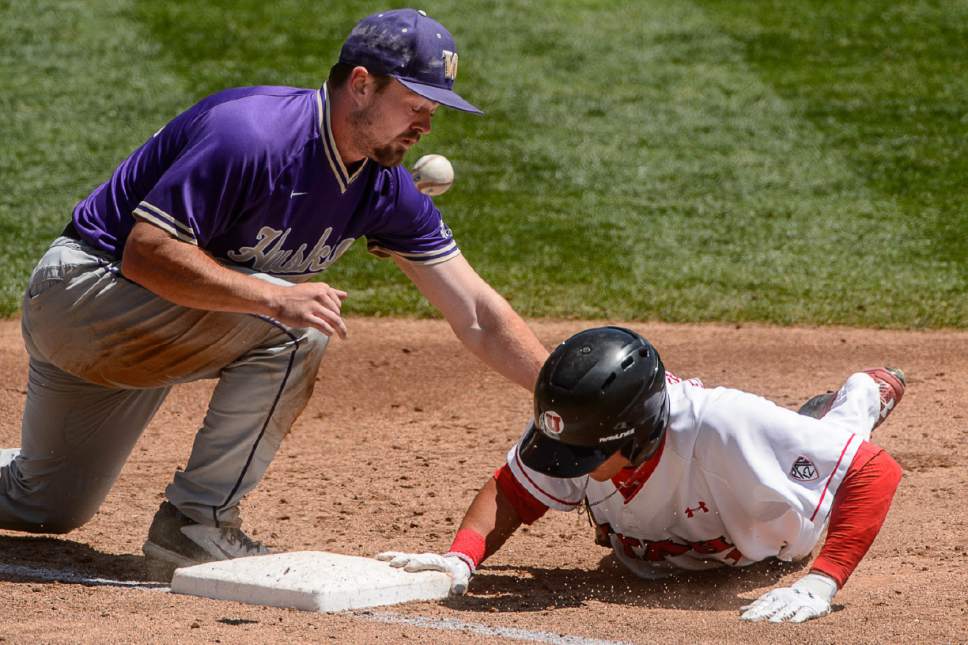 Trent Nelson  |  The Salt Lake Tribune
Washington infielder John Naff (31) loses the ball, allowing Utah outfielder Dashawn Keirsey, Jr. (21) to second base in the first inning as the University Utah plays Washington, NCAA baseball, in a series for the Pac-12 title at Smith's Ballpark in Salt Lake City, Saturday May 28, 2016.