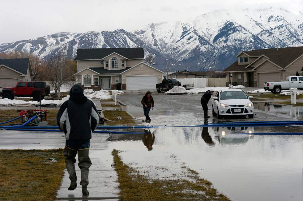 Al Hartmann  |  The Salt Lake Tribune
Residents of neighborhood near 125 North 1650 West in Tremonton pump standing water away from their homes into the street and a nearby retention pond Monday Feb. 20 before the next storm drops more rain.  Wellsville Mountains in the distance still hold much of the winter's snow. Parts of Box Elder County have seen surface flooding from the rapid snow melt and rain over the weekend.  Luckily these homes do not have basements but water rose nearly to the front doors of some homes.  Main Street in Tremonton from 1000 to 2000 West was closed last night to pump out the area.