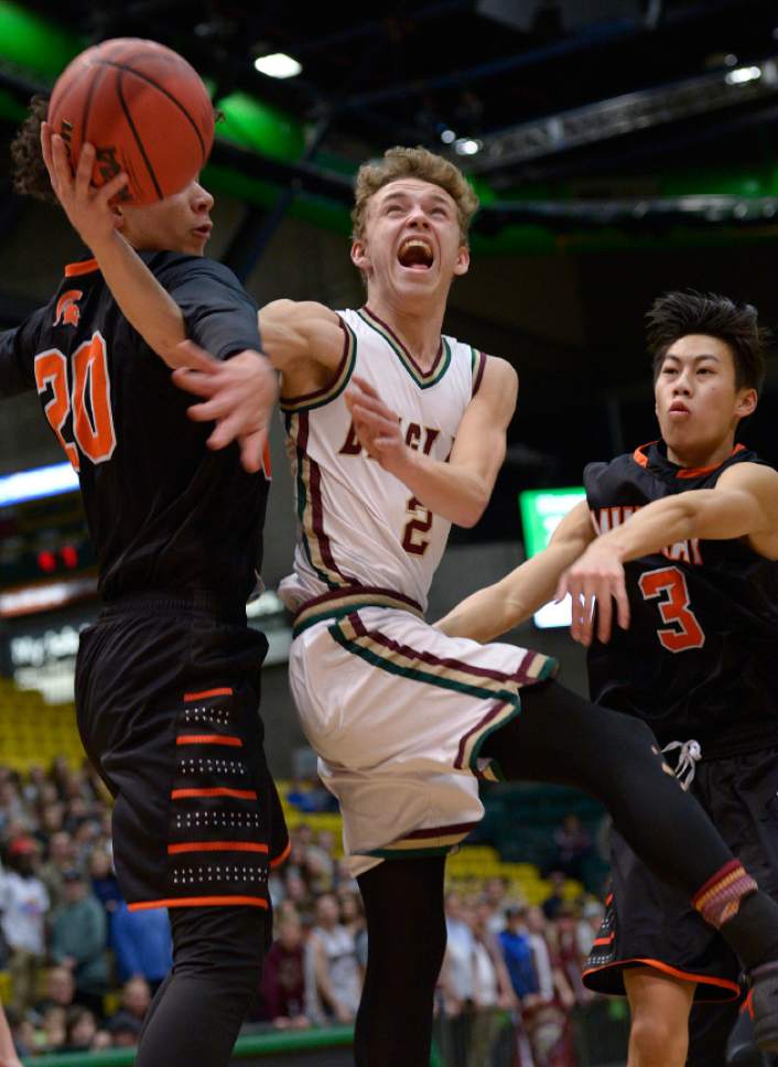 Leah Hogsten  |  The Salt Lake Tribune
Maple Mountain's Dawson Hall drives to the net between Murray's Jesse Clemons and Ethan Thai. Maple Mountain High School leads Murray High School 51-27 during their 4A State boys' basketball playoff game at the UCCU Center on Utah Valley University's campus, Tuesday, February 28, 2017.