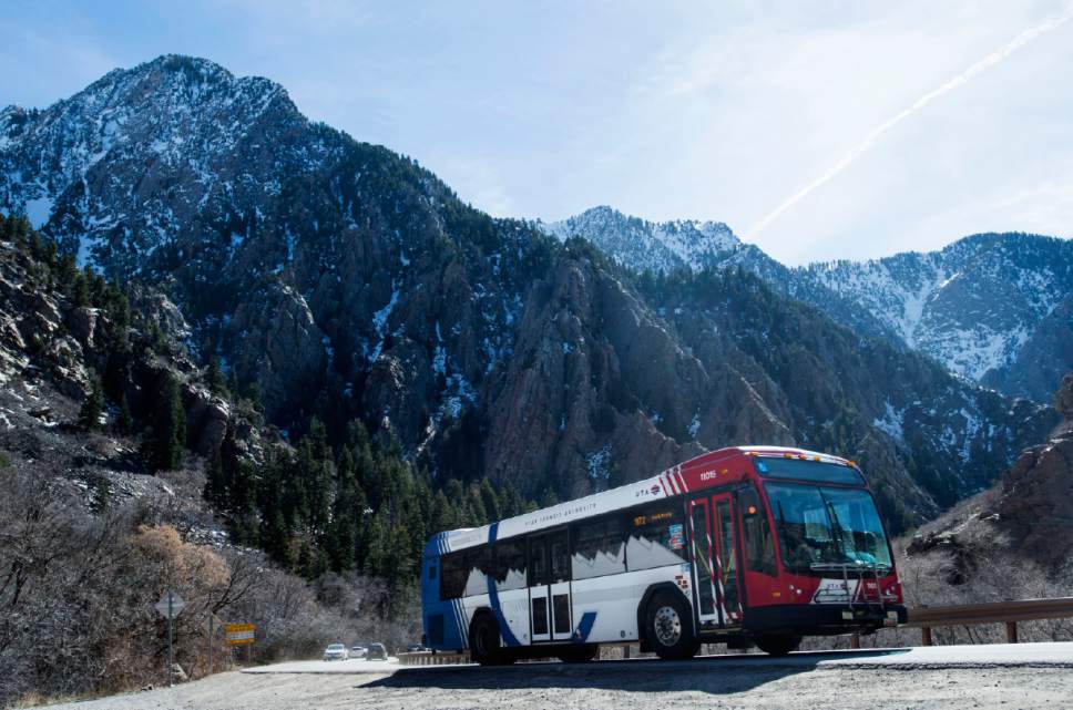 Rick Egan  |  The Salt Lake Tribune

A UTA Ski bus heads up Big Cottonwood Canyon, Monday, March 13, 2017.