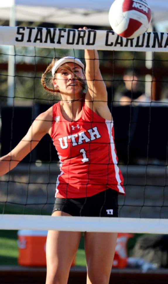 Utah beach volleyball In first season, Utes try to get settled on the