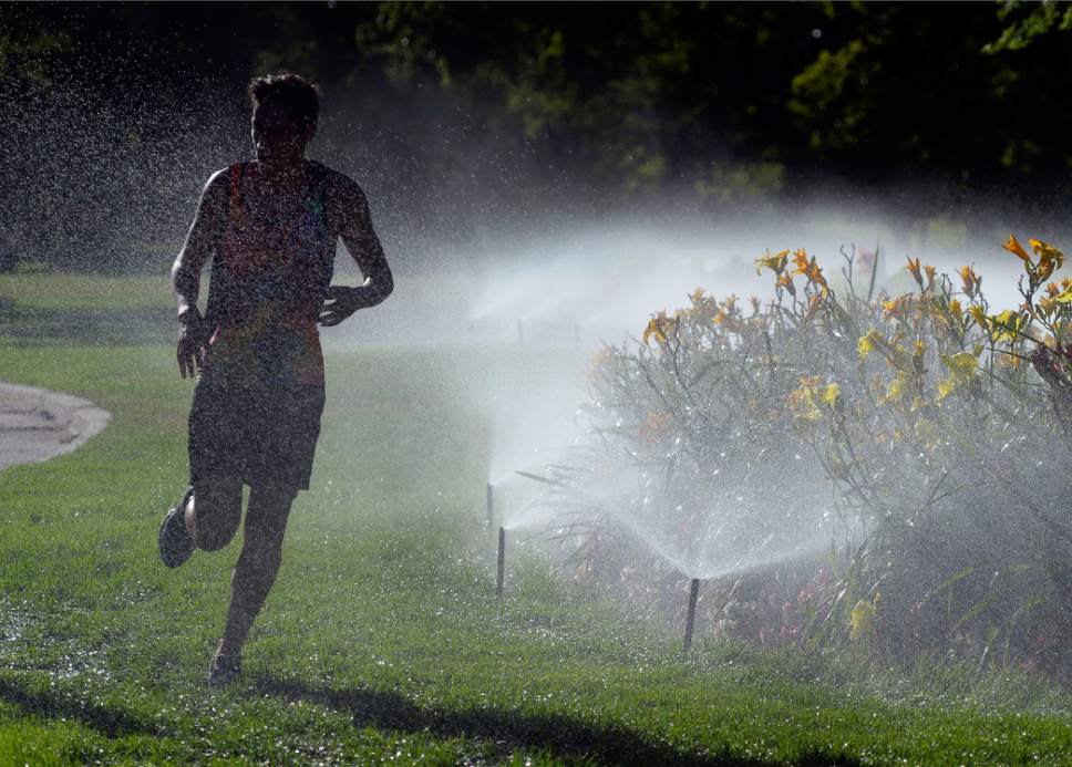 File photo | Al Hartmann  |  The Salt Lake Tribune
A runner takes advantage of sprinklers to cool down on his training run in Sugarhouse Park in 2014.