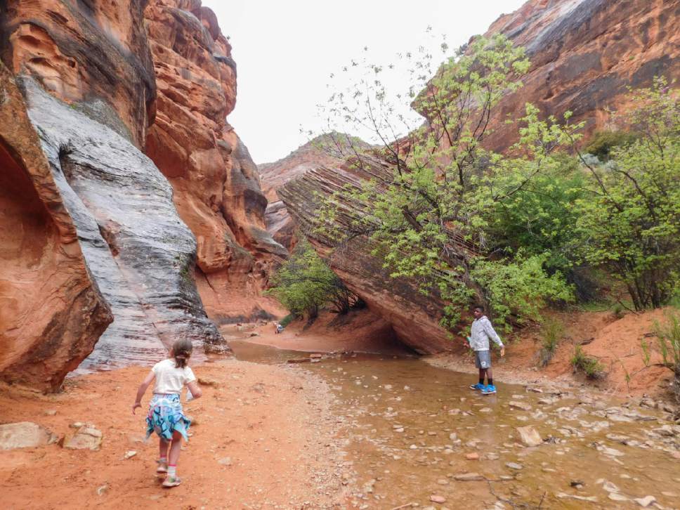 Erin Alberty  |  The Salt Lake Tribune

Young hikers negotiate Quail Creek just below the waterfall April 3, 2017 on the Red Reef Trail in Red Cliffs Desert Reserve, north of Harrisburg.