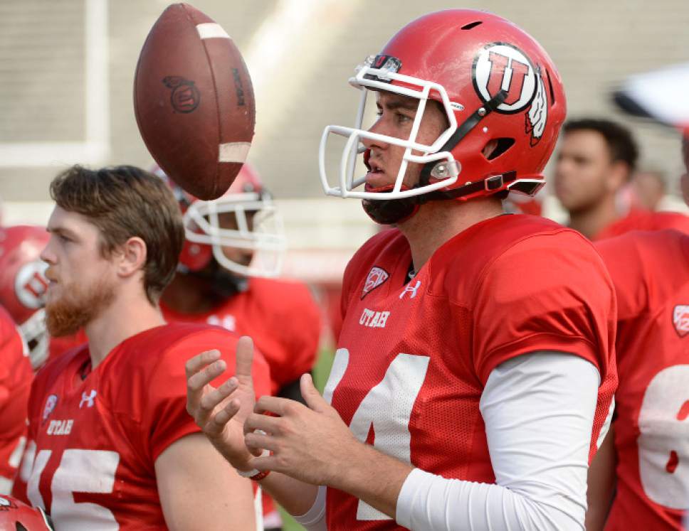 Al Hartmann  |  The Salt Lake Tribune 
Ute long snapper Chase Dominguez (No. 94), watches the field during scrimmage Wednesday August 12.  Overlooked amid the attention given to Utah's kicker-punter combination (No. 39 Andy Phillips and No. 33 Tom Hackett), but those guys know they couldn't do it without him.