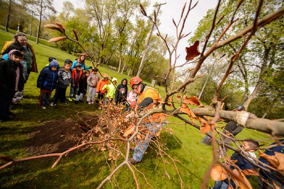 Trent Nelson  |  The Salt Lake Tribune
Parkview Elementary students and Salt Lake City foresters to celebrate Arbor Day by planting trees
On Friday, April 28th, second graders from Parkview Elementary School will join Salt Lake City's urban forestry crew in celebrating Arbor Day with a tree planting event at Jordan Park.Friday April 28, 2017.