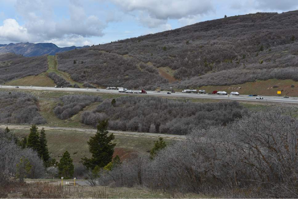 Francisco Kjolseth | The Salt Lake Tribune
A wildlife bridge is slated to be built over I-80 at Parleys Summit, a notorious spot for animal collisions. The plan calls for the bridge to be built just West of the summit and will cross over part of the eastbound exit ramp.