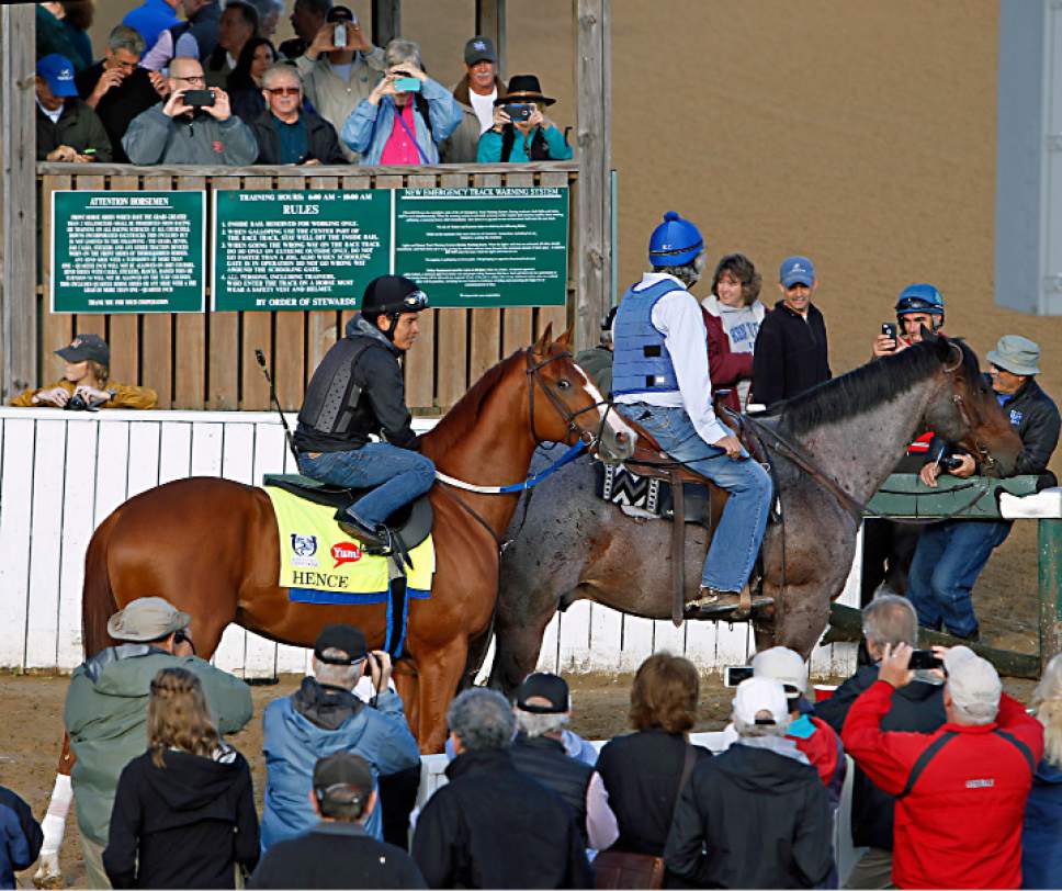 Horse racing 5 horses to watch in 143rd Kentucky Derby The Salt Lake