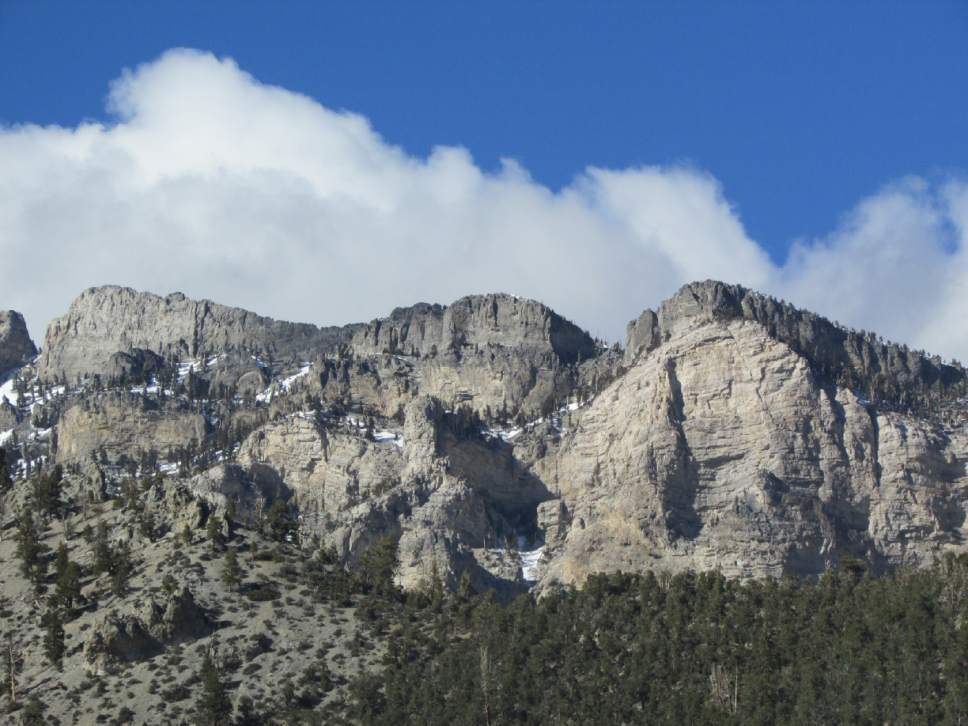Tom Wharton | Special to The Tribune

Spring Mountains National Recreation Area, known locally as Mount Charleston, is a wildlife surprise near Las Vegas with its cool Alpine setting where locals go to escape the heat.