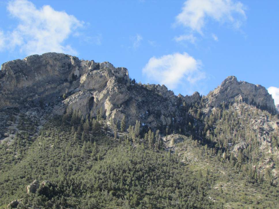 Tom Wharton | Special to The Tribune

Spring Mountains National Recreation Area, known locally as Mount Charleston, is a wildlife surprise near Las Vegas with its cool Alpine setting where locals go to escape the heat.