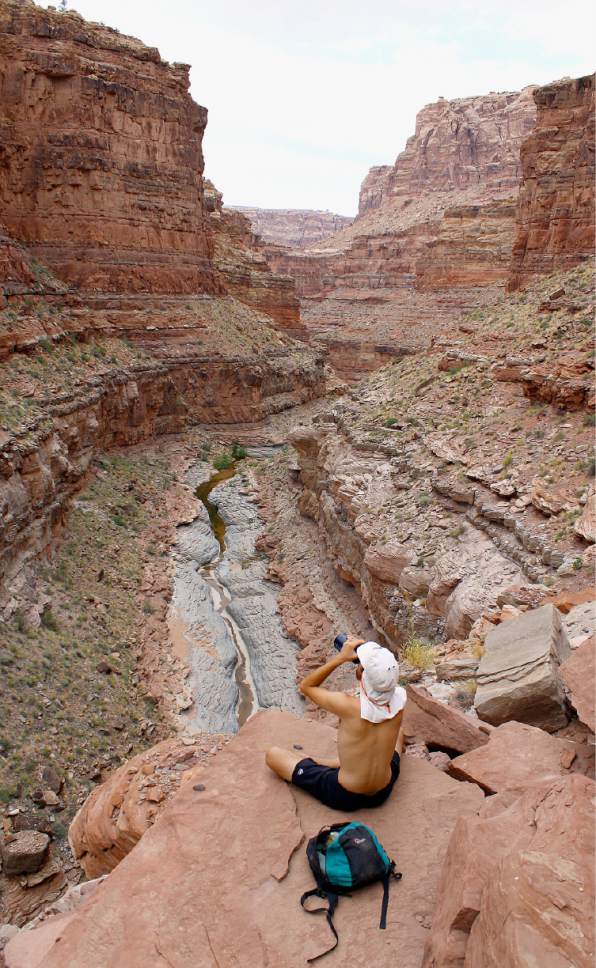 Al Hartmann  |  The Salt Lake Tribune 
Hiker takes a break above the canyon floor in Dark Canyon Wilderness in San Juan County.  The area is included for a proposed Bears Ears National Conservation Area.