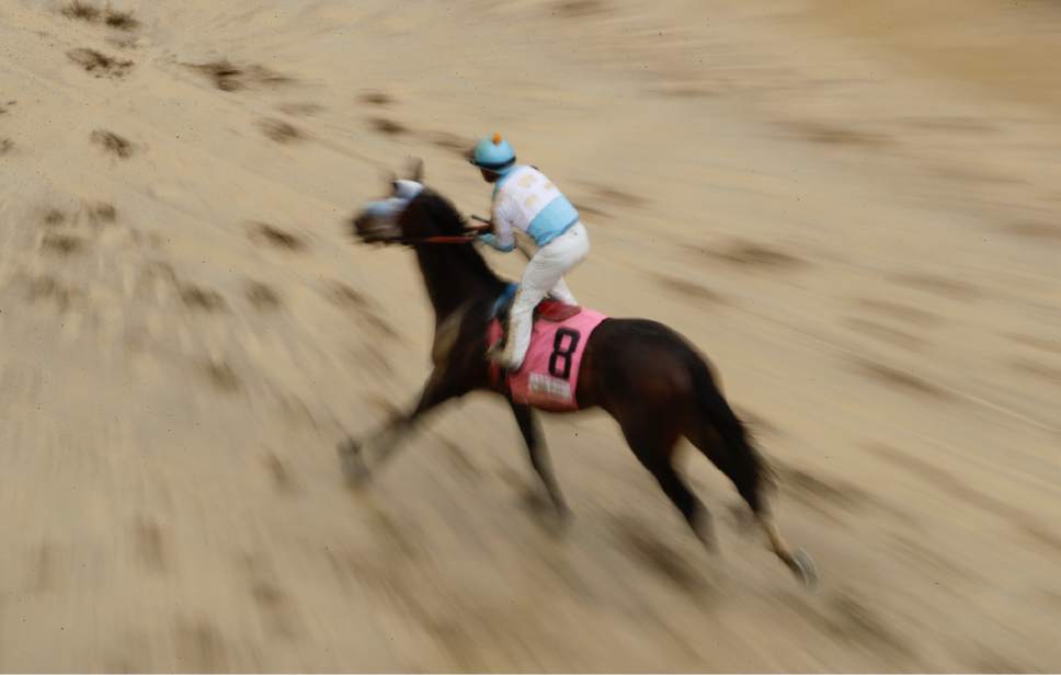 Horse racing Always Dreaming wins muddy Kentucky Derby The Salt Lake
