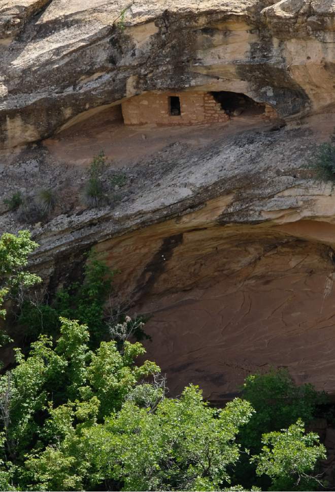 Francisco Kjolseth | The Salt Lake Tribune
Interior Secretary Ryan Zinke tours the Butler Wash Indian ruins within Bears Ears National Monument in southeastern Utah. Interior Secretary Zinke is touring the monument, including Grand Staircase-Escalante National Monument this week as part of a review order by President Trump.