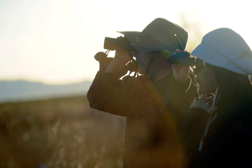 Sarah A. Miller  |  Tribune file photo

Birders use binoculars along the 1.5-mile-long Great Salt Lake Center Nature Trail in Farmington as part of the Sunset Trail Tour for the Great Salt Lake Bird Festival in 2011. The 2017 festival opens May 18. More info at www.GreatSaltLakeBirdFest.com.