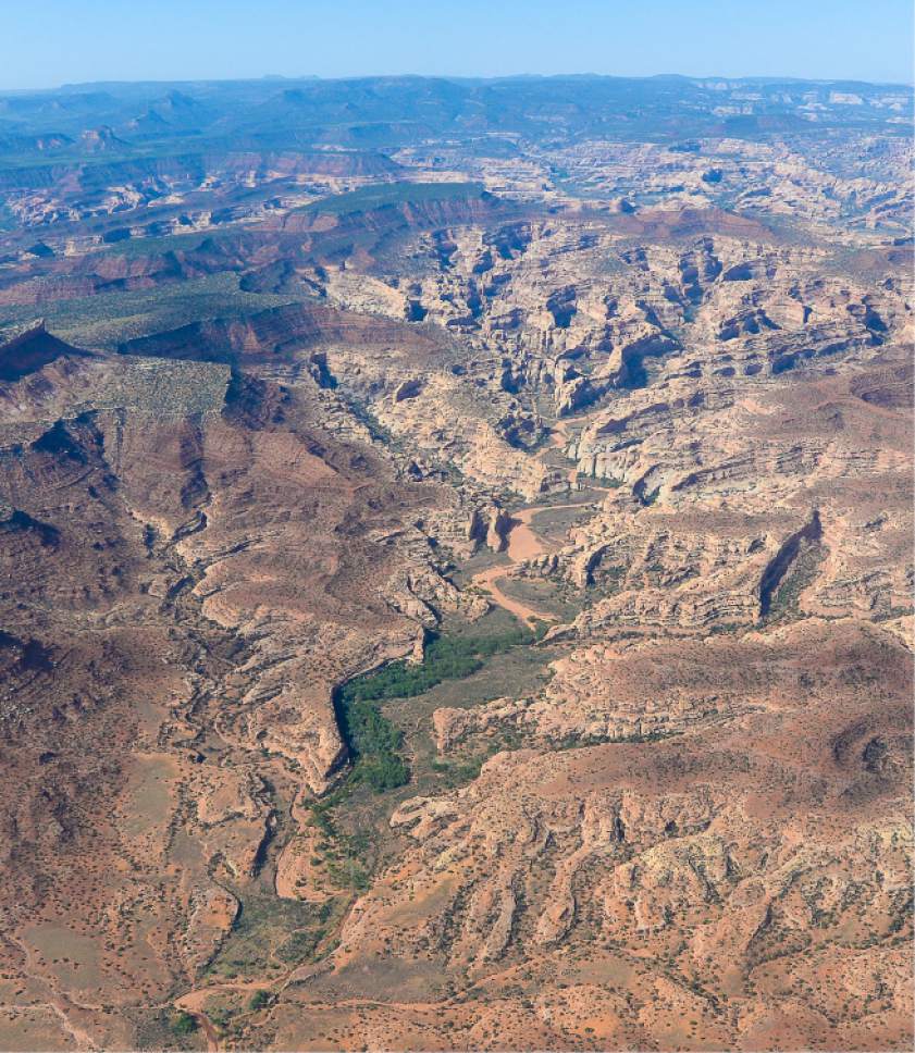 Francisco Kjolseth | The Salt Lake Tribune
The Bears Ears, seen on the upper left horizon, and its surrounding areas in southeastern Utah, are subject to a possible National Monument designation by President Obama   under the Antiquities Act for protection. EcoFlight recently flew journalists, tribal people and activists over the northern portion of the proposed 1.9 million acre site in an effort to push for permanent protection from impacts caused by resource extraction and high-impact public use.