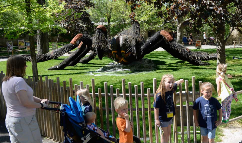 Al Hartmann  |  The Salt Lake Tribune
A family takes in the size and detail of a Mexican redknee tarantula, one of s 14 animatronic bugs that will be around the Utah's Hogle Zoo grounds all summer as part of an effort to educate the public about the importance of bugs in the circle of life.