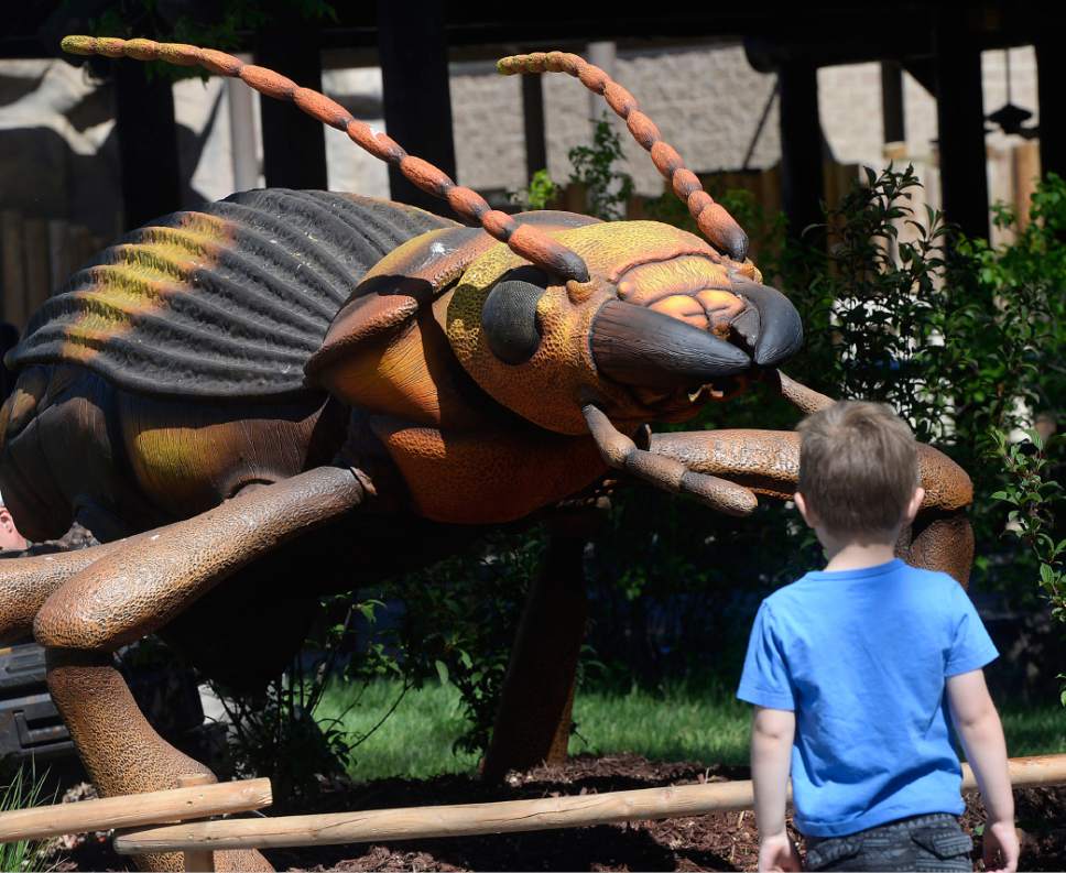 Al Hartmann  |  The Salt Lake Tribune
Youngster takes in detail of an Australian Bombardier beetle Friday May 12 at Utah's Hogle Zoo.  It's one of 14 animatronic bugs at the zoo that will be around the grounds all summer as part of an effort to educate the public about the importance of bugs in the circle of life.
