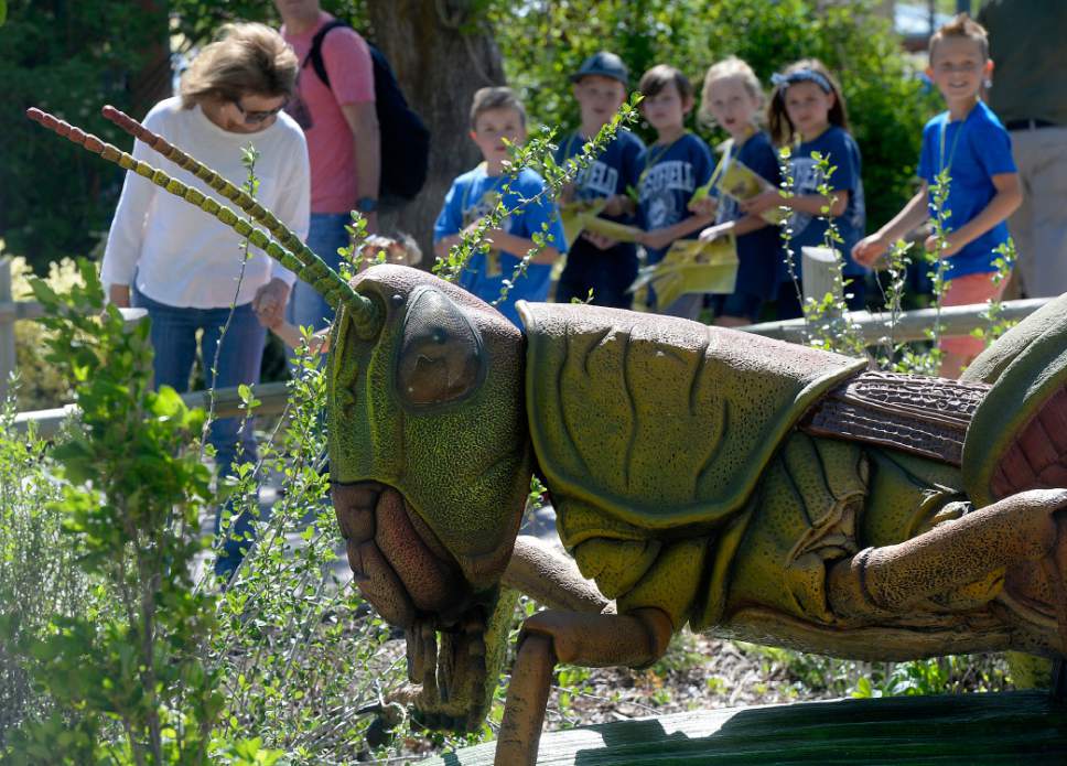 Al Hartmann  |  The Salt Lake Tribune
Children take in the size and detail of a meadow grasshopper, one of 14 animatronic bugsat Utah's Hogle Zoo that will be around the grounds all summer as part of an effort to educate the public about the importance of bugs in the circle of life.