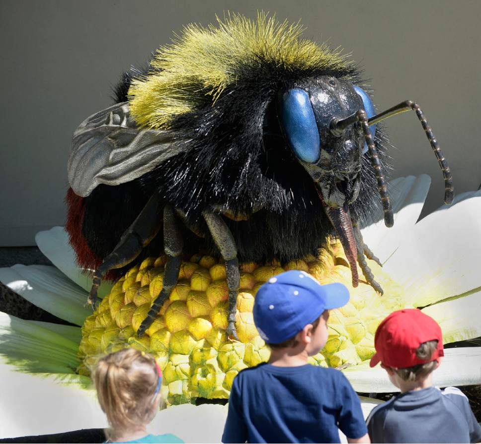 Al Hartmann  |  The Salt Lake Tribune
Children are fascinated by the giant red-tailed bumblebee, one of14 animatronic bugsat Utah's Hogle Zoo  that will be  around the grounds all summer as part of an effort to educate the public about the importance of bugs in the circle of life.