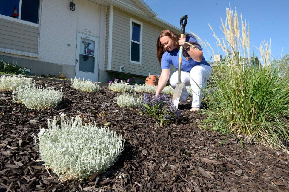 Al Hartmann  |  The Salt Lake Tribune
Christina Slade is a Magna resident who has decided to replace her lawn after growing tired to all the maintenance and water a lawn requires. Her water-wise plants only require to be watered once a week even in the heat of Summer. It is not typically necessary to start watering your garden until Mother's Day in Utah, and yet each year Salt Lake City residents spend more than $37,000 per day watering their lawns in April and early May.