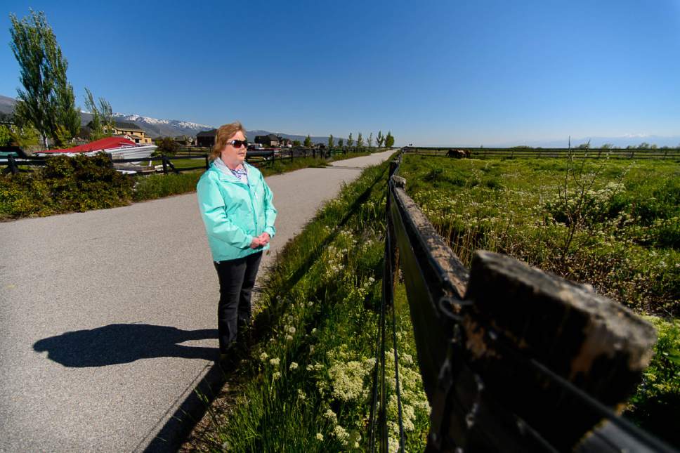 Trent Nelson  |  Tribune file photo
Christine Mikkelsen looks out into the quiet open space behind her Farmington home that may soon be occupied by the West Davis Corridor highway earlier this month. The West Davis Corridor is a roughly 20-mile stretch of new freeway planned in northern Utah that has a $610 million price tag, The Utah Transportation Commission approved spending some of the money provided by $1 billion in bonding to begin the controversial project.