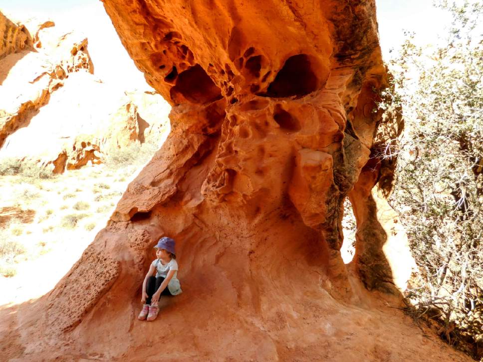 Erin Alberty  |  The Salt Lake Tribune


A young hiker rests in the shade of Babylon Arch on March 12, 2017 in the Red Cliffs Desert Reserve near Leeds.