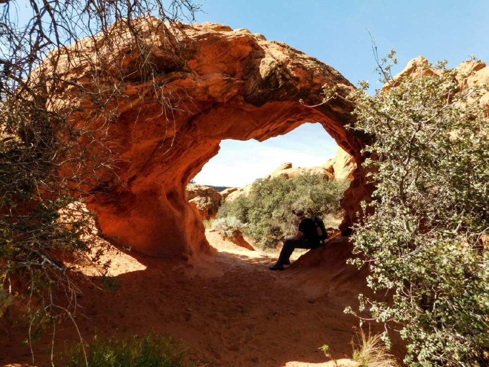 Erin Alberty  |  The Salt Lake Tribune


A hiker rests in the shade of Babylon Arch on March 12, 2017 in the Red Cliffs Desert Reserve near Leeds.