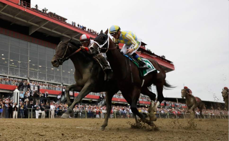 Horse Racing With No Triple Crown In Play Belmont Lacks A Singular Buzz The Salt Lake Tribune