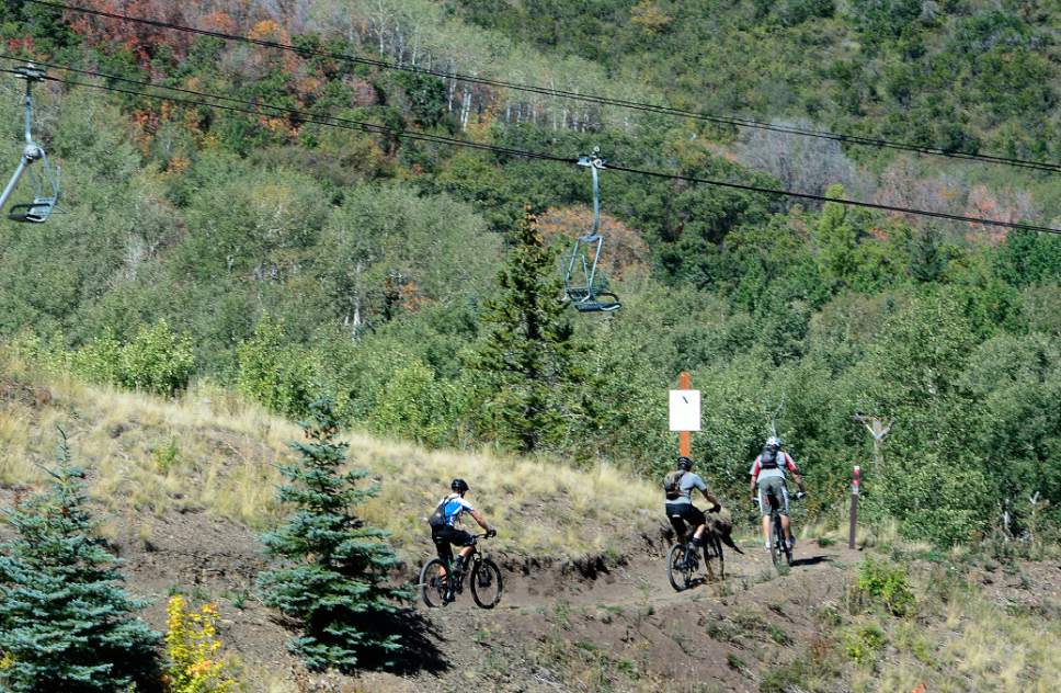 Scott Sommerdorf   |  Tribune file photo
Mountain bikers ascend the hills at Park City Mountain Resort, Thursday, September 11, 2014.
