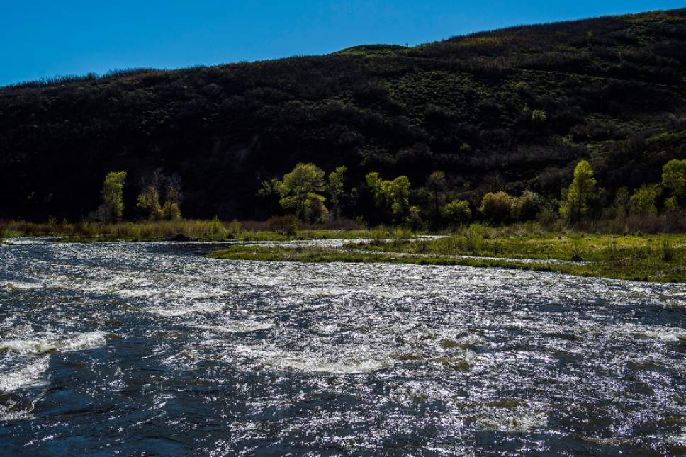 Chris Detrick  | Tribune file photo
The Provo River flows near Heber City in early May. Health officials are warning of elevated drowning dangers, especially for children, due to high seasonal spring runoffs and recent heavy rains.