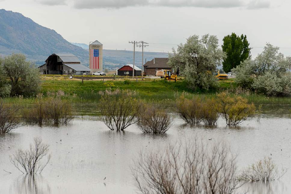 Trent Nelson  |  The Salt Lake Tribune
A flooded field next to the Bear River, near Corinne, Friday May 19, 2017.