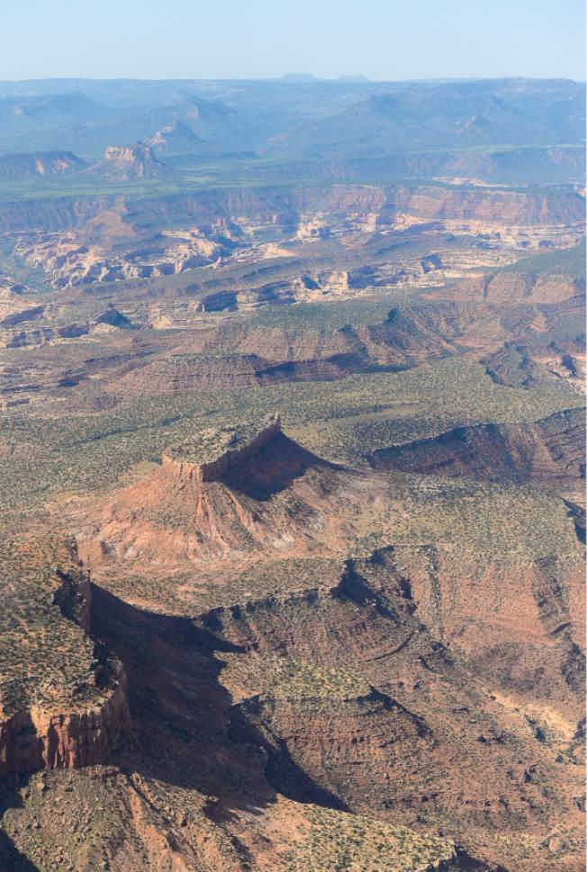 Francisco Kjolseth | Tribune file photo
The Bears Ears, seen on the horizon, and its surrounding areas in southeastern Utah, are subject to a possible National Monument designation by President Obama   under the Antiquities Act for protection. EcoFlight recently flew journalists, tribal people and activists over the northern portion of the proposed 1.9 million acre site in an effort to push for permanent protection from impacts caused by resource extraction and high-impact public use.