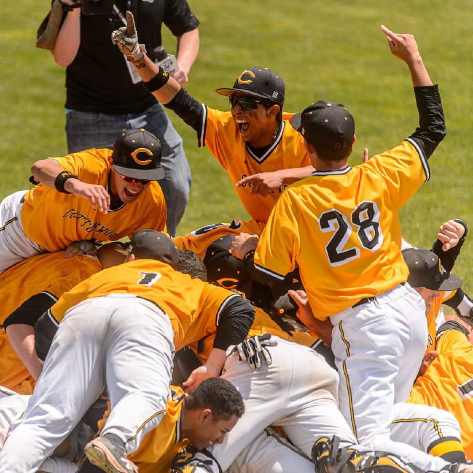 Trent Nelson  |  The Salt Lake Tribune
Cottonwood players celebrate their win over Lone Peak High School 11-0 in the Class 5A baseball state title game in Orem, Friday May 26, 2017.