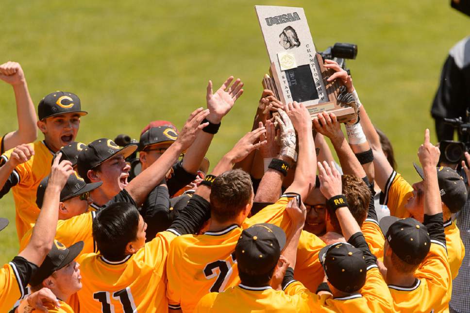 Trent Nelson  |  The Salt Lake Tribune
Cottonwood players celebrate their win over Lone Peak High School 11-0 in the Class 5A baseball state title game in Orem, Friday May 26, 2017.