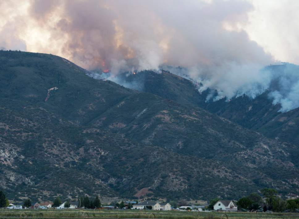 Steve Griffin  |  Tribune file photo


A wildfire burns in the mountains above Levan, Utah Thursday, July 24, 2014.